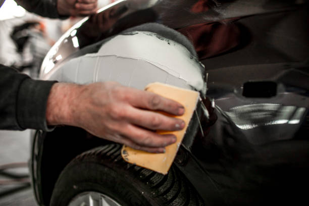 Dehumidification Services in Webster, FL