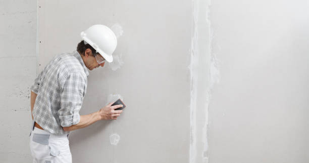 Best Mold Remediation for Healthcare Facilities  in Webster, FL