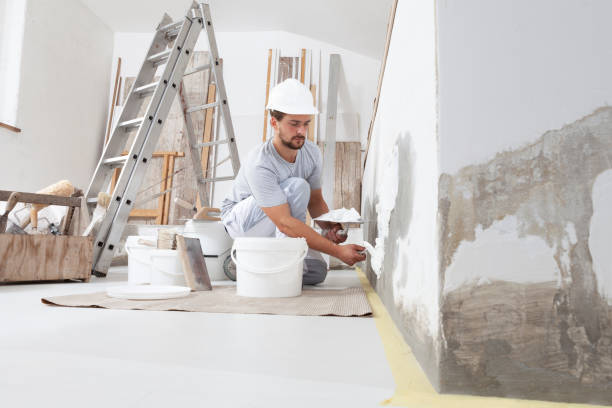Best Residential Mold Inspection & Testing  in Webster, FL