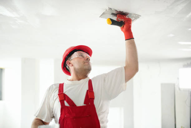 Best Industrial Mold Remediation  in Webster, FL