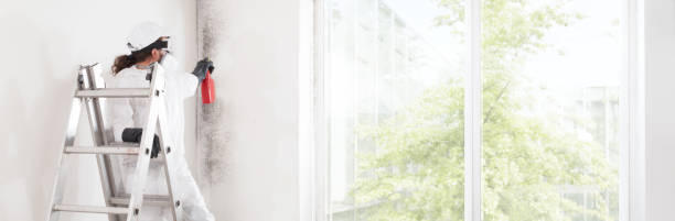 Best Air Quality Testing for Mold Spores  in Webster, FL